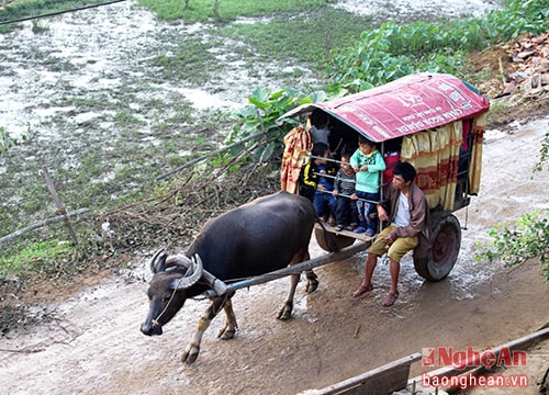 Chàng trai tàn tật lái xe trâu, sẽ lên sóng 'Điều ước thứ 7' vào dịp Tết