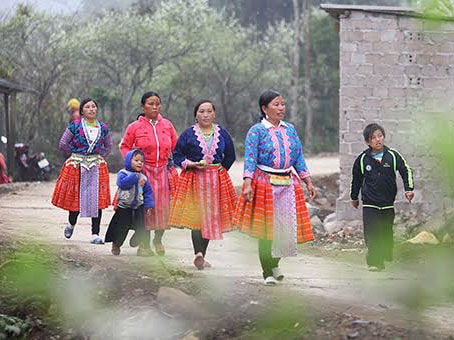 Miền Bắc rét nhất 4 độ C