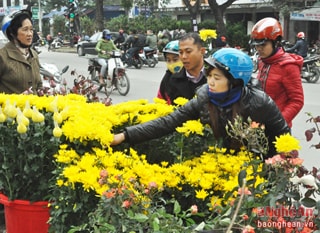 Thành phố Vinh bố trí 7 khu vực bán hoa, cây cảnh Tết