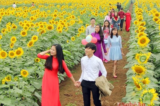 Kỳ vọng một 'đường hoa'