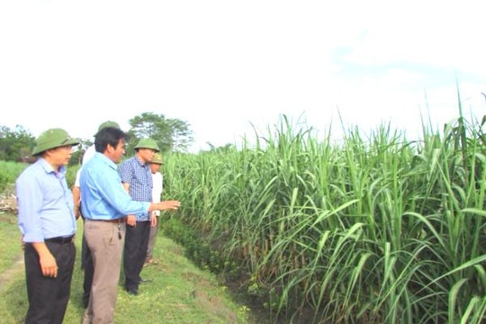 10 dấu ấn nổi bật của huyện Tân Kỳ năm 2016