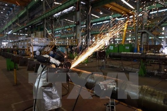 Chuyên gia Nga: Năm mới Việt Nam sẽ là đầu tàu của Đông Nam Á