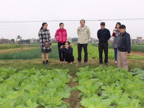 Nhật Bản hỗ trợ đầu tư các mô hình 'dẫn đường' ở Nghệ An