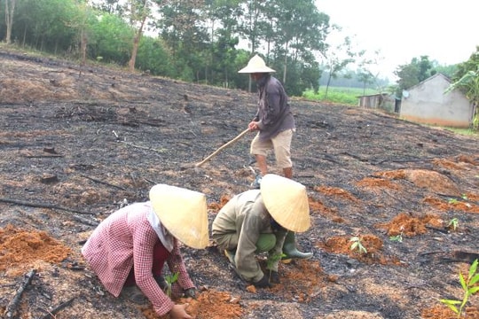 Giữ rừng gắn với xóa đói giảm nghèo ở Khu Bảo tồn thiên nhiên Pù Hoạt