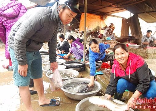 Cá nước ngọt 'hút' khách đầu năm