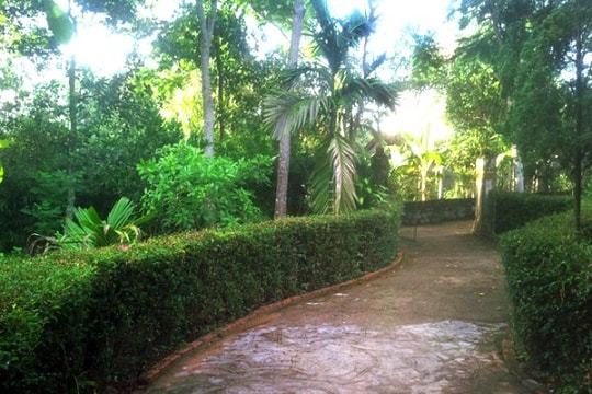 Còn đâu những bức tường xanh?