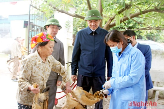 Sở Nông nghiệp và PTNT kiểm tra dập dịch H5N1