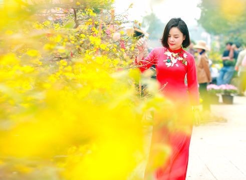 'Con đường hoa' trên phố