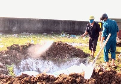 Diễn Châu tiêu hủy 450 con vịt bị nhiễm H5N1