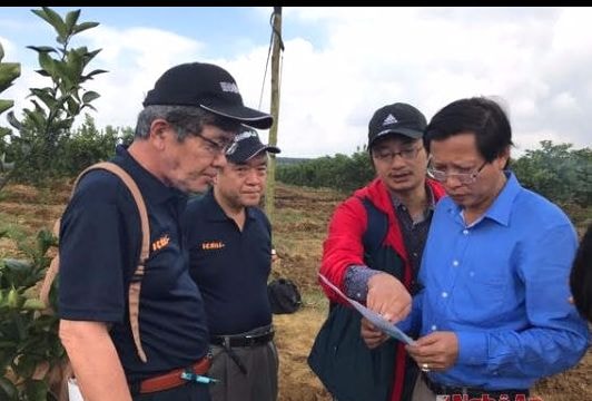 Thử nghiệm các chế phẩm sinh học an toàn của Nhật Bản để trị bệnh trên cây cam Phủ Quỳ