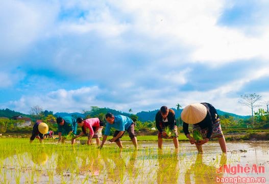 Miền Tây Nghệ An vui hội lồng tồng