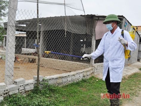 Công điện khẩn về phòng chống dịch cúm gia cầm