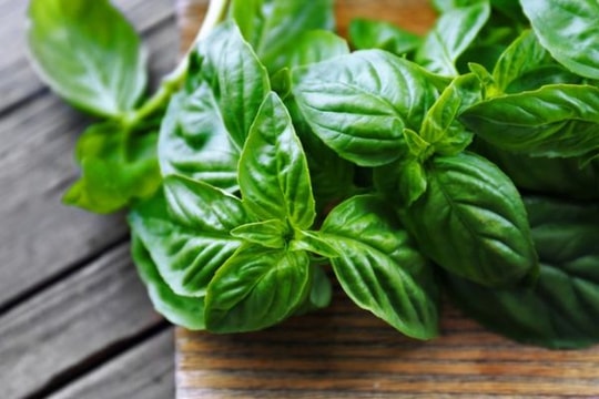 4 loại thảo dược giúp giảm đau cho bệnh nhân ung thư