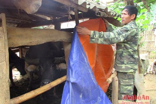 Sẽ có thêm đợt gió rét tăng cường