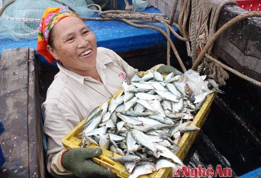Ngư dân phấn khởi vì lưới nặng, cá đầy, được giá