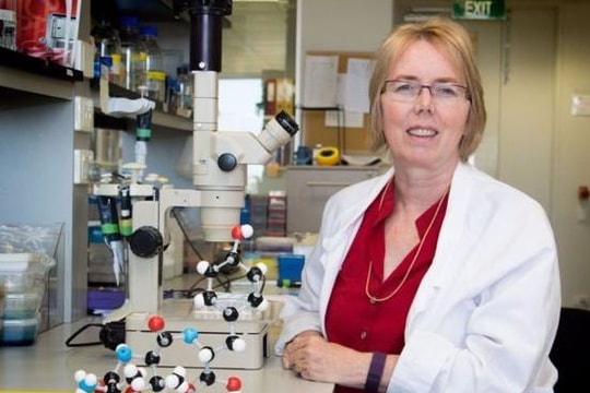 Các nhà khoa học Úc tìm ra hướng trị vi khuẩn kháng kháng sinh