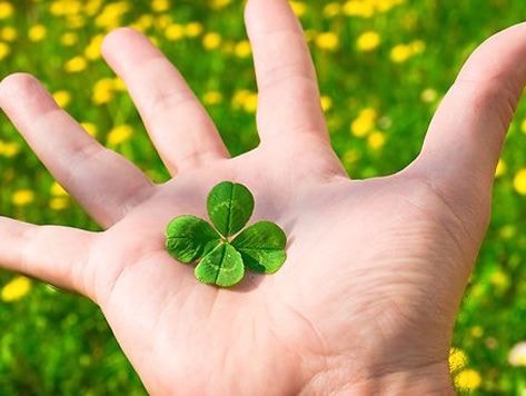 Những bí quyết giúp bạn hạnh phúc hơn