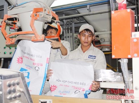 AustFeed Nghệ An: Kỳ vọng mới cho phát triển chăn nuôi công nghệ cao