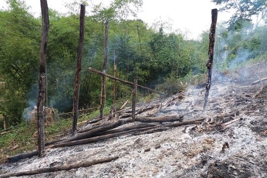 Nỗi cơ cực của vợ chồng tật nguyền bị cháy nhà