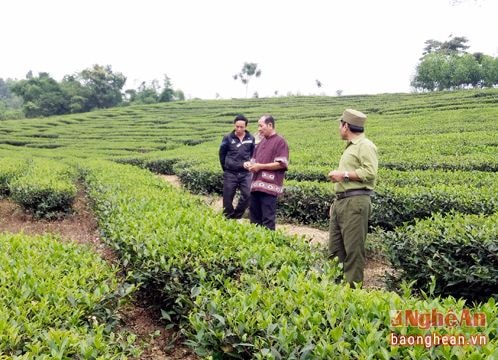 Chuyện chưa kể về Bí thư chi bộ làm kinh tế giỏi