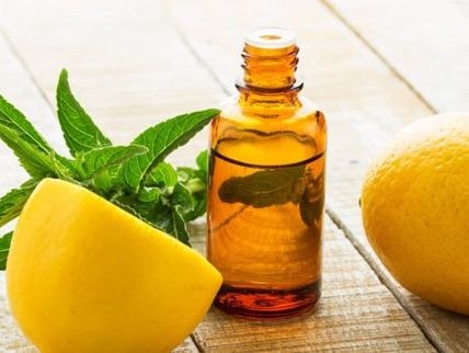 Mẹo đơn giản đuổi sạch muỗi không cần thuốc xịt