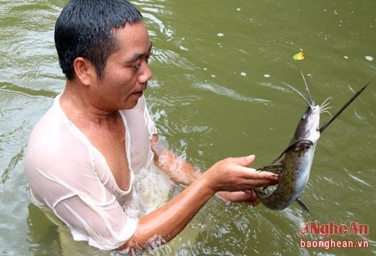 Ngon và lạ với những 'đặc sản' từ khe suối