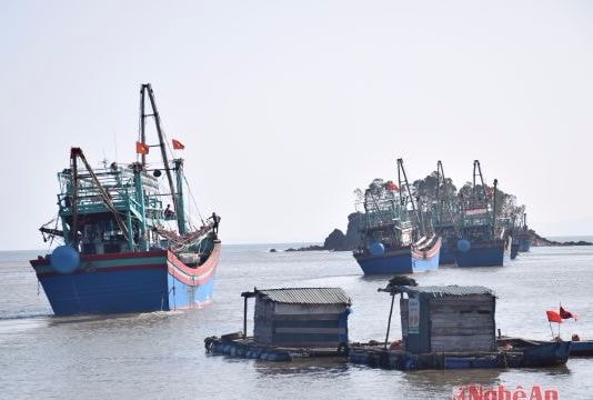 Bảo hiểm nghề cá - 'phao cứu sinh' cho ngư dân