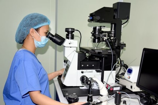 Nghệ An triển khai thụ tinh trong ống nghiệm