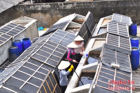 Nghệ An: 5 sản phẩm làng nghề được bảo hộ nhãn hiệu tập thể