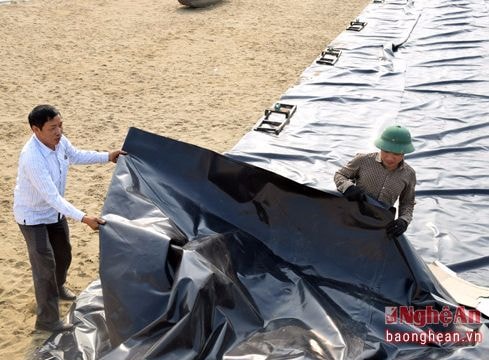 Nghệ An: Dân trải bạt nuôi tôm