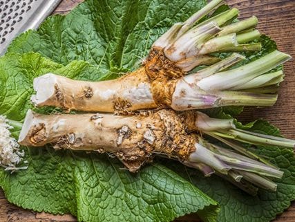 10 loại thảo mộc mạnh hơn cả thuốc kháng sinh