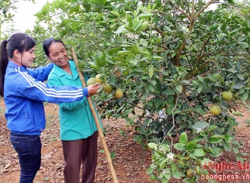 Xã có nguồn cán bộ trẻ nhất miền Tây Nghệ An