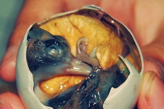 10 món trứng khác thường trên thế giới