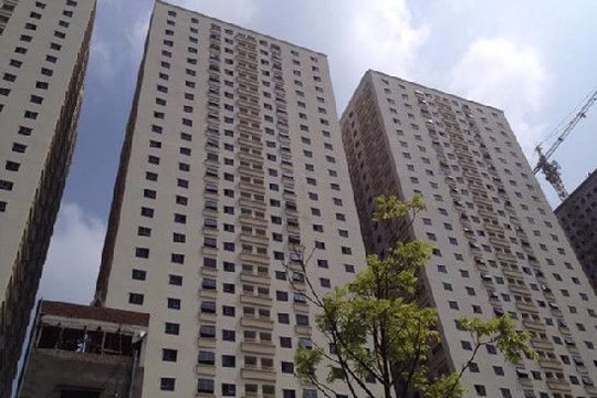 Thanh tra Chính phủ: 'Dự án Đại Thanh có dấu hiệu vi phạm nghiêm trọng'