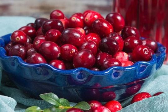 Nam việt quất: Thần dược chữa viêm bàng quang