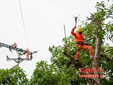 Diễn tập khắc phục sự cố mất điện vì mưa bão