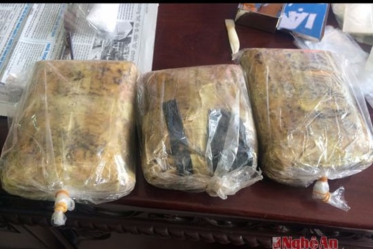 Bắt trùm vận chuyển 16.000 viên ma túy tổng hợp, chống trả cảnh sát