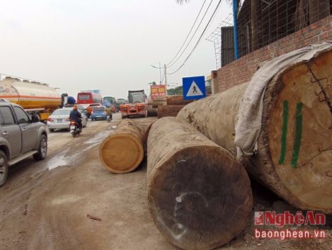 Nhiều xưởng gỗ vi phạm hành lang an toàn giao thông dọc QL 1A