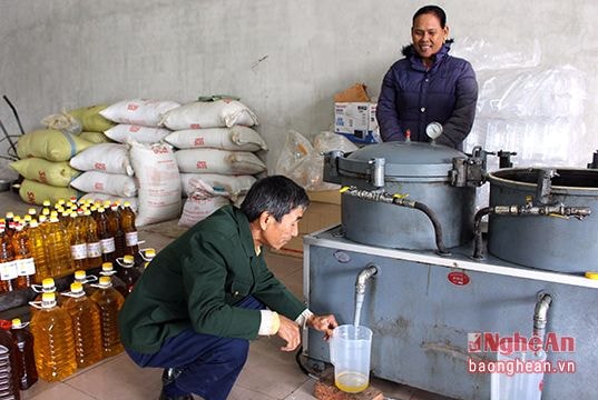 Nghề ép dầu lạc thủ công đắt khách