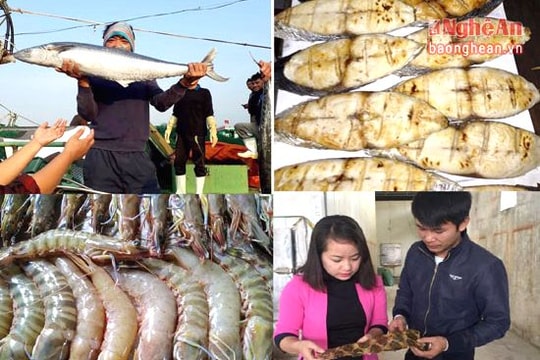 Quỳnh Lưu: Xuất khẩu thủy sản sang các nước EU