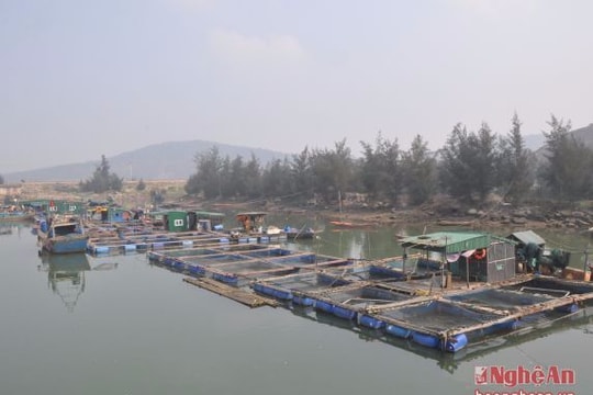 Nơi hạ nguồn sông Cấm