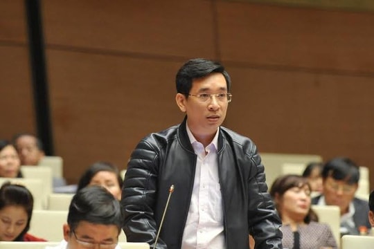 Đường thăng tiến 6 tháng của ĐBQH Nguyễn Văn Cảnh - người cáo quan về quê