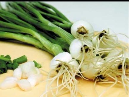 Công dụng chữa bệnh của hành