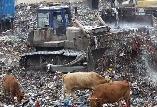 10 thực phẩm Trung Quốc gieo rắc nỗi kinh hoàng cho thế giới