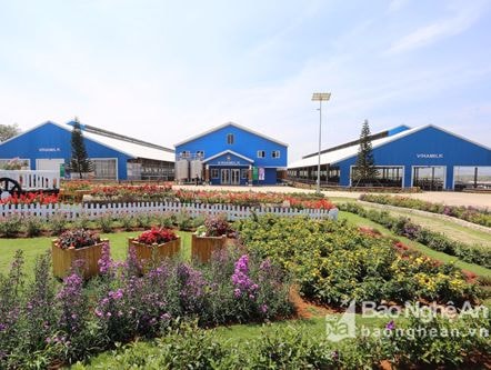 Vinamilk khánh thành trang trại bò sữa Organic đầu tiên tại Việt Nam