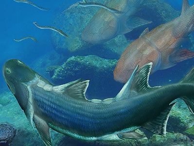 Cá 'bọc thép' 420 triệu tuổi