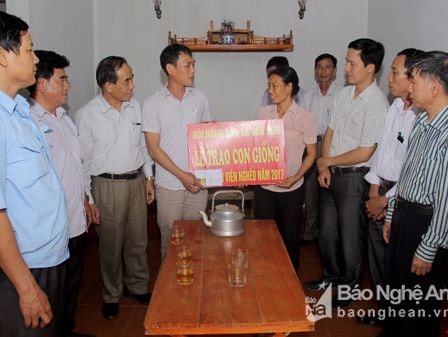 Hội Nông dân Đô Lương tặng lợn giống cho hội viên nghèo