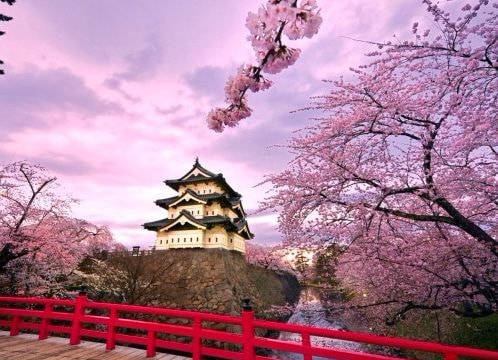 Nhân tài sẽ có cơ hội lấy vĩnh trú ở Nhật chỉ sau 1 năm