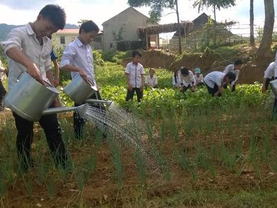 Thầy cô giáo nuôi lợn, trồng rau cải thiện bữa ăn cho học sinh