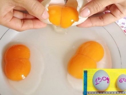 Trứng hai lòng đỏ có thực sự bổ?